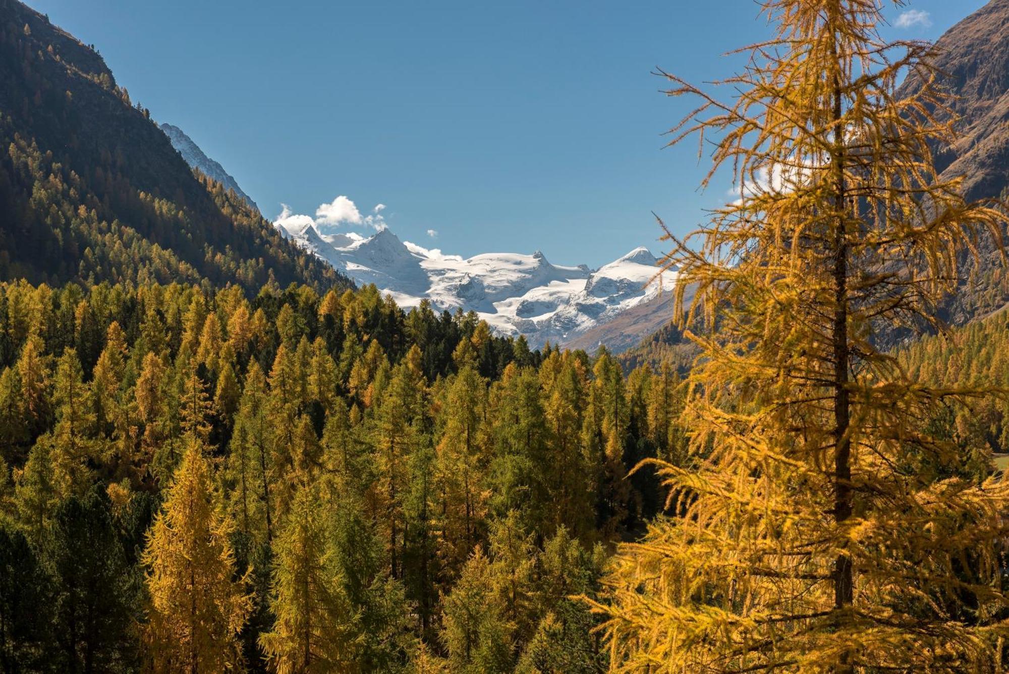Hotel Saratz Pontresina Bagian luar foto